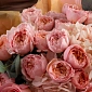 Букет с пионовидными розами "Навстречу мечте" фото