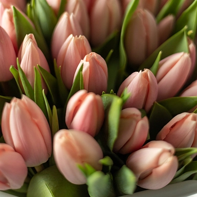 Букет из нежно-розовых тюльпанов "Жания" S - фото 3