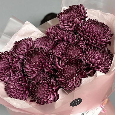 Букет из 15 бордовых хризантем - фото 5