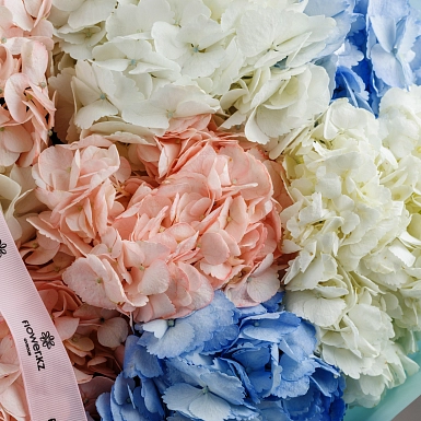 Букет из 9 микс гортензий "Bliss" фото