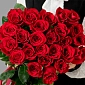 Букет из 25 красных роз 100 см - фото 3