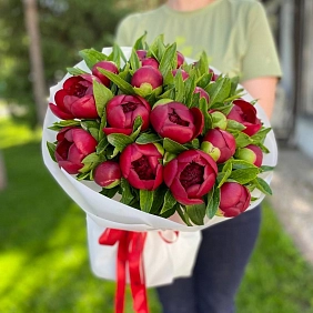 Букет из 25 красных местных пионов "Red Charm"