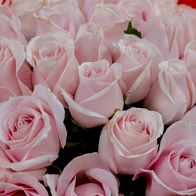 Букет из 51 pink роз 50 см "Тянь-Шань" - фото 3