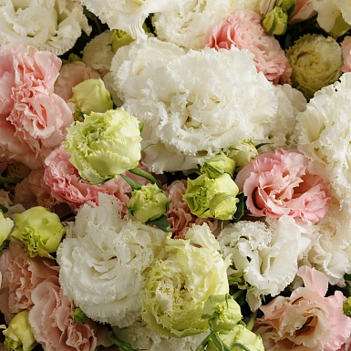 Букет из 51 микс эустомы-лизиантус - фото 5