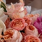Букет с пионами "Dolce Vita" - фото 5