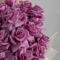 25 фиолетовых сортовых Голландских роз в коробке - фото 6