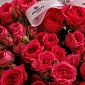 Букет из кустовых роз "Sofi" S - фото 5