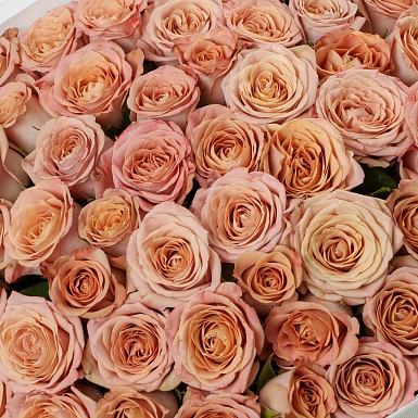 Букет из 51 капучино розы 50 см "Тянь-Шань" - фото 5