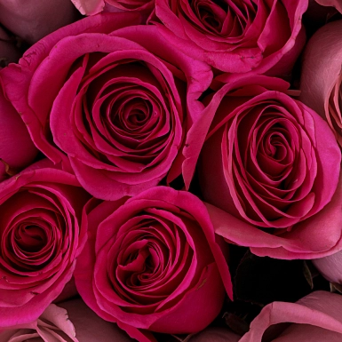 Букет из 51 малиновой розы 50 см "Тянь-Шань" - фото 6