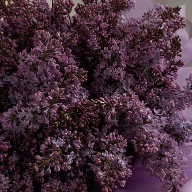 Букет из 25 веток сирени в оформлении - фото 5