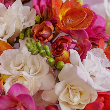 Букет из 25 микс фрезий - фото 6