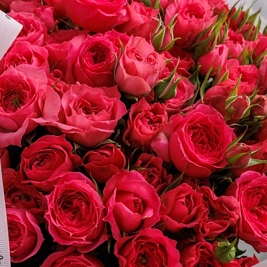 Букет из кустовых роз "Sofi" M - фото 5