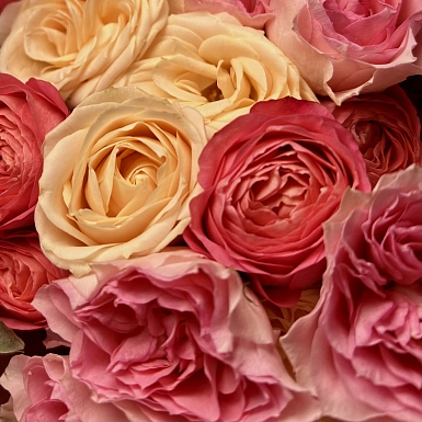 Букет из 11 микс кустовых роз "Тянь-Шань" - фото 5